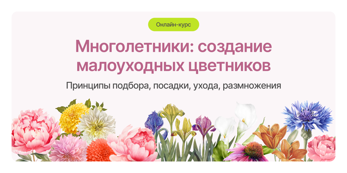 lp.smart-gardener.ru