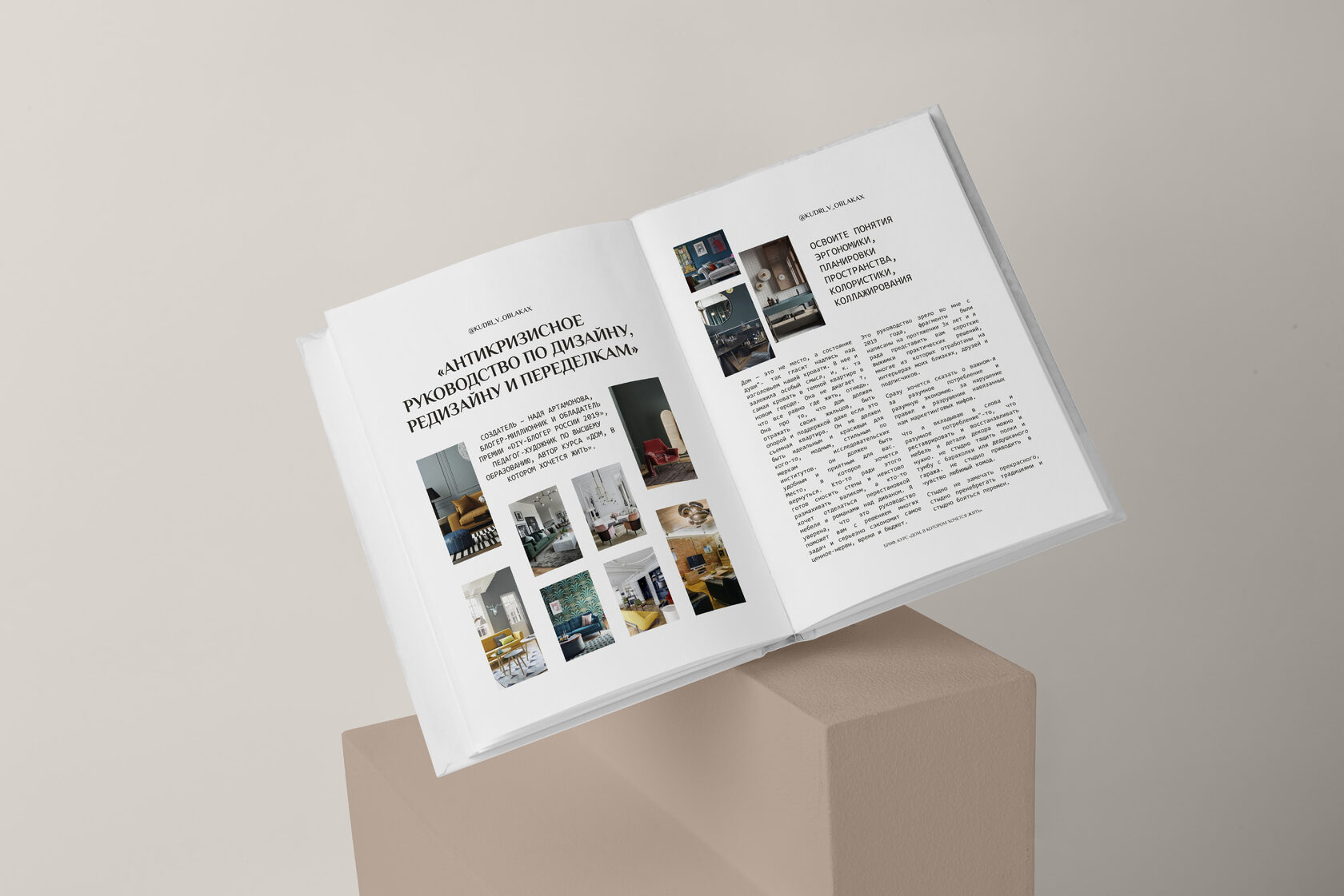 [Надежда Артамонова] Антикризисное руководство по дизайну, редизайну и переделкам (2023)