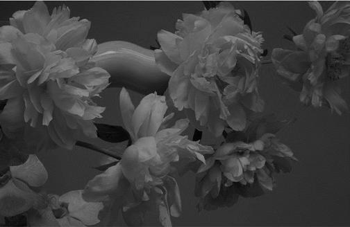 [Татьяна Аристова] Гайд по развитию насмотренности (2023)