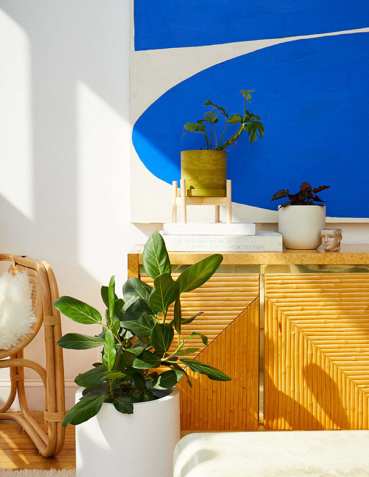 [Uutno] Комнатные растения в интерьере (2023)