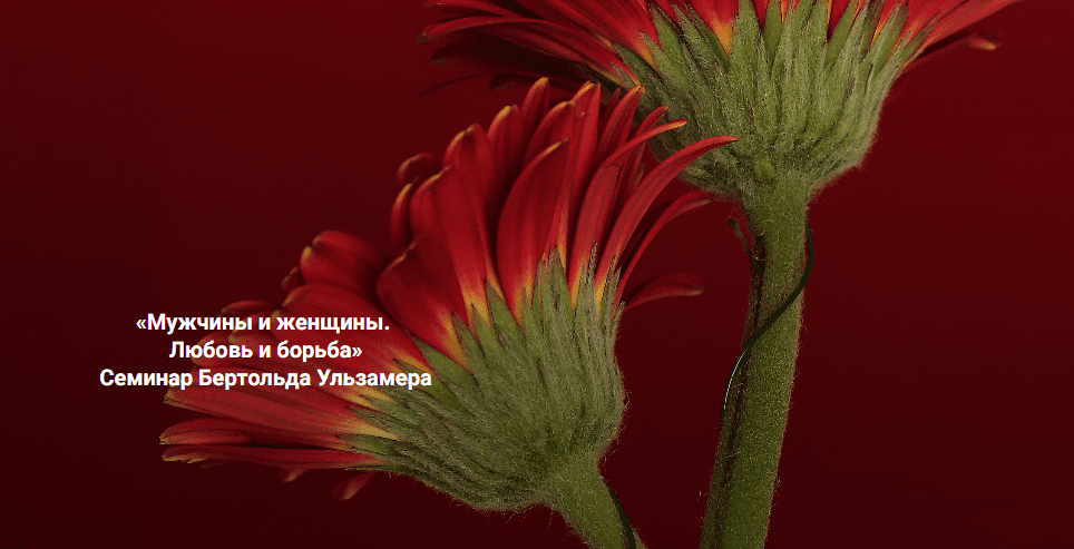 [Бертольд Ульзамер] [Институт Открытого поля] Мужчины и женщины. Любовь и борьба. Расстановки отношений (2025)