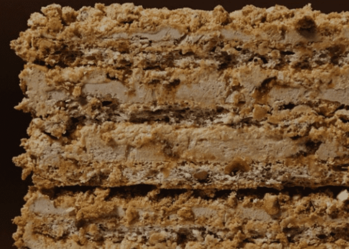 [Vicky School] Торт Киевский фундучный (2023)