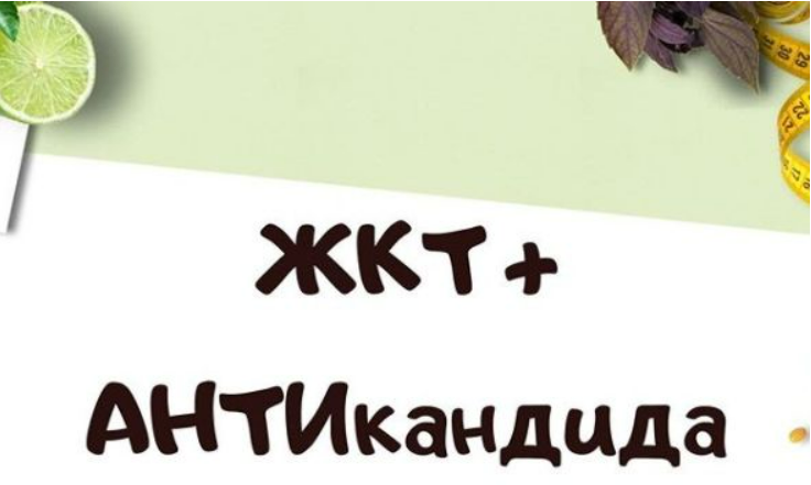 [Светлана Литвиненко] Протокол АНТИкандида (2020)