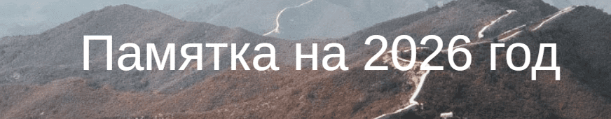 [Юлия Бальсина] Памятка на 2026 год (2025)