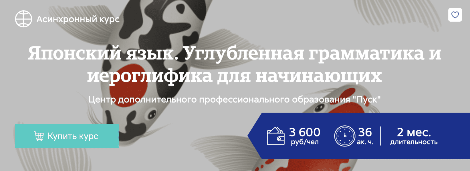 [Анастасия Степанова] Японский язык. Углубленная грамматика и иероглифика для начинающих (2024)