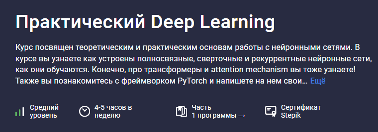 [Stepik] Практический Deep Learning (2024)