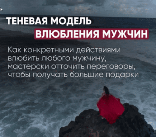 [Елена Силка] Теневая модель влюбления (2024)