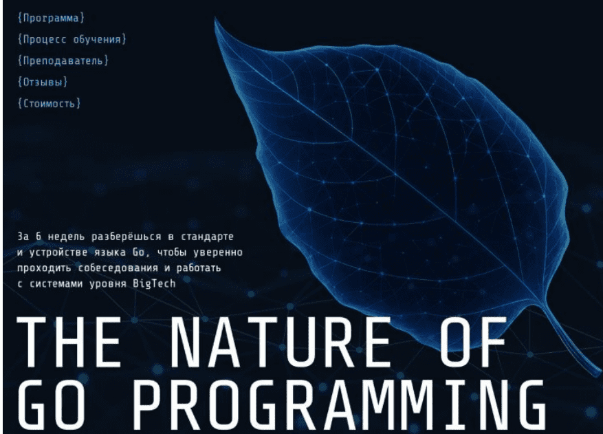 [Игорь Панасюк] The Nature of Concurrency - Курс по многопоточному программированию (2025)