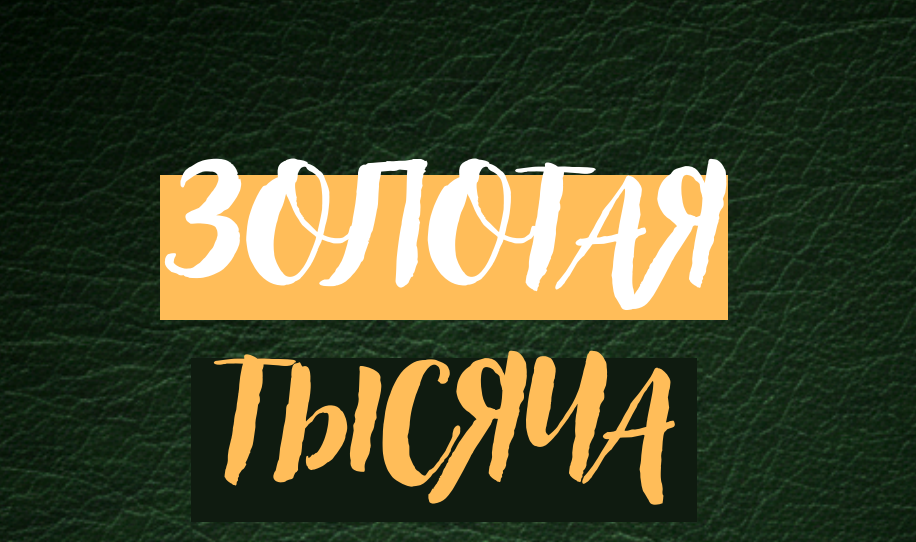 Золотая тысяча. Том 13 [vasilinfo] [Василина Баранова]