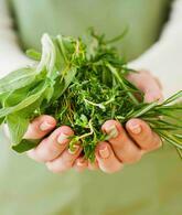 [Ирина Шиманская, Валерия Холодкова] Травы, специи и питание летом (2023)