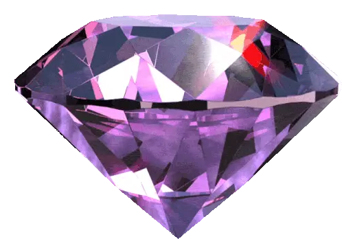 [Илья Чигарев] Идеальный сайт на WordPress 2.0 (2025)