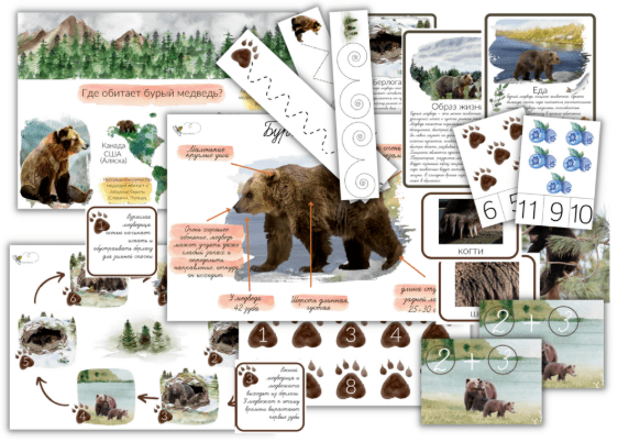 [Елена Самсонова, busy-bee] Бурый медведь (2025)