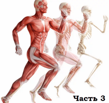 [Александр Волоткевич] Нейтральность, осанка и мышечно-скелетные асимметрии. Часть 3. Релаксация. Работа с вниманием и ощущениями (2025)