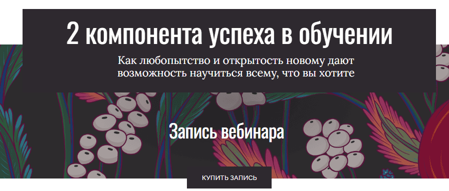 [Елена Тихомирова] 2 компонента успеха в обучении (2025)