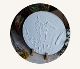 [Master_&_Polina] Ботанический барельеф (2023)