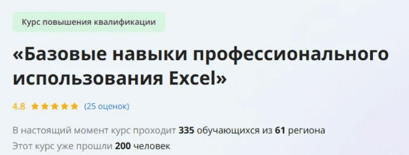 [Инфоурок] Базовые навыки профессионального использования Excel (2021)