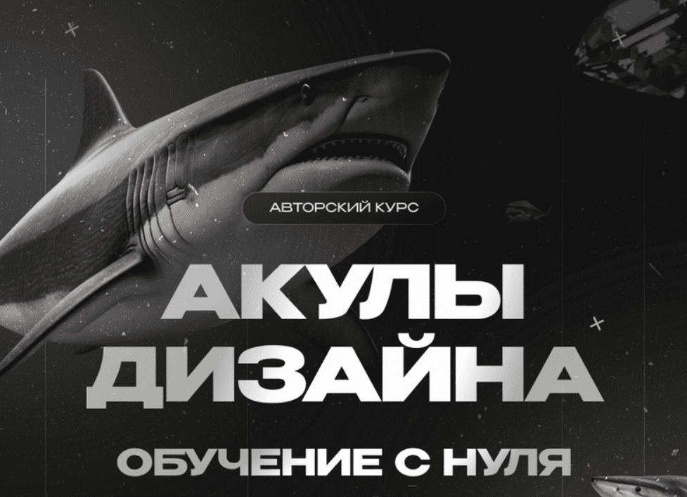 [Лилия Асылханова] [Followandbloom] Акулы дизайна. Тариф С куратором (2024)