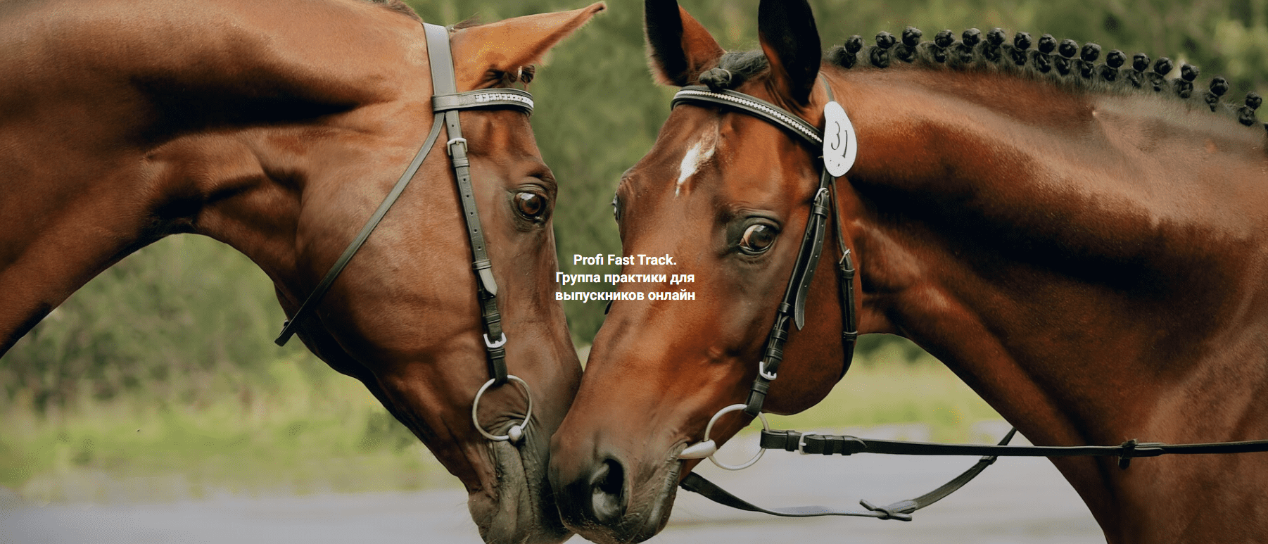 [Елена Веселаго] [Институт Открытого поля] Я беру свою жизнь себе. Profi Fast Track (2025)