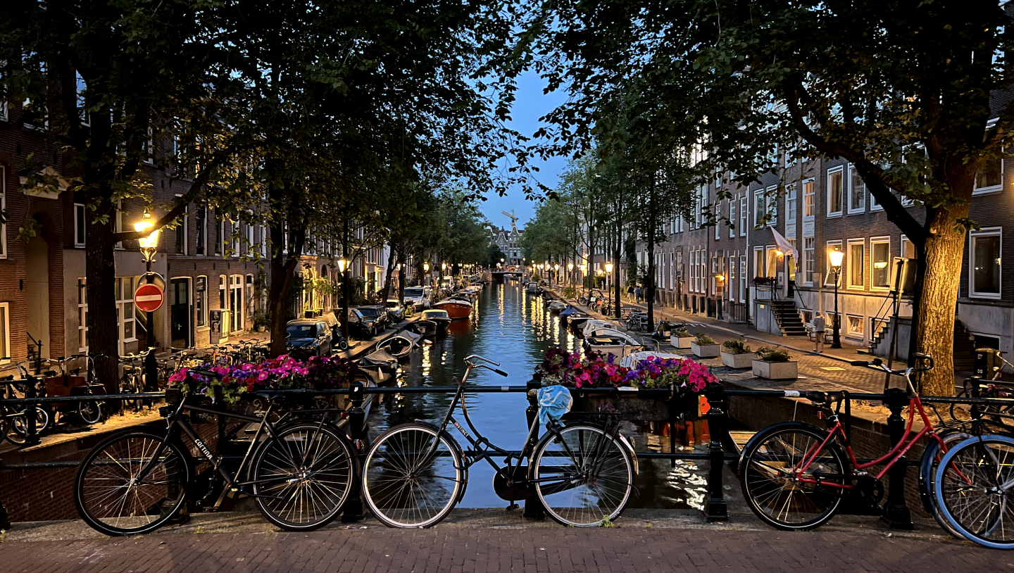 [Илья Варламов] Путеводитель по городу Амстердам