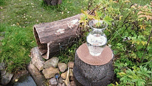 Вековая краска + магнитная вертушка