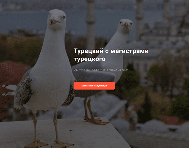 [Турецкий] [Lingua Turca] Фонетический курс для начинающих (уровень А1) (2024)