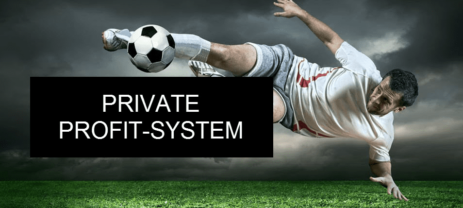[ПРОФИКУРС] Private Profit-System