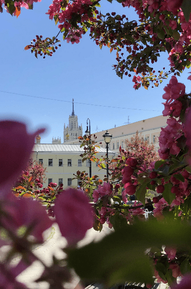 [Amazing Way] Маршруты по Москве - Китай-город (2024)