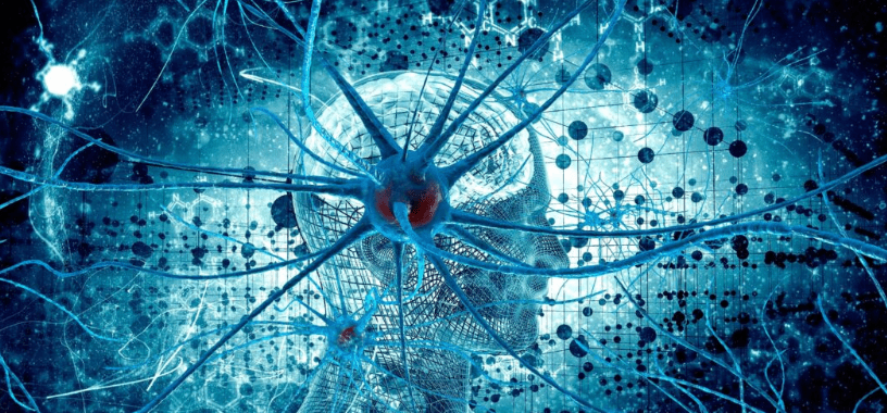 [Архэ] Введение в когнитивную нейронауку. Лекция 4. Процессы научения в мозге (2025)