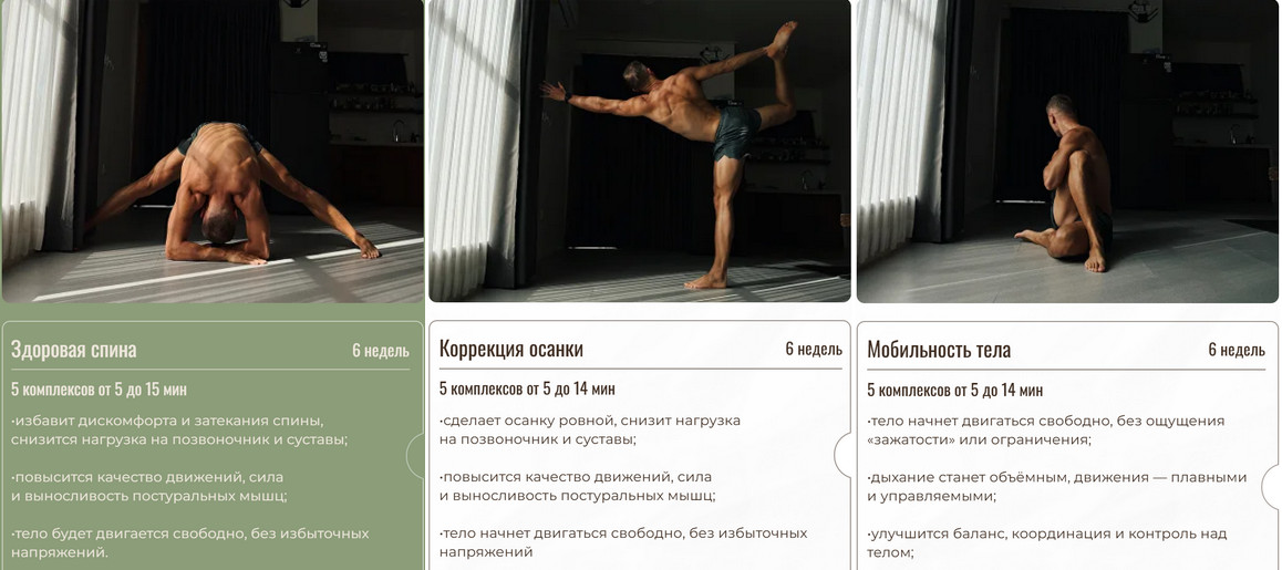 Оздоровительные комплексы: Здоровая спина, Коррекция осанки, Мобильность тела [Евгений Москалёв]