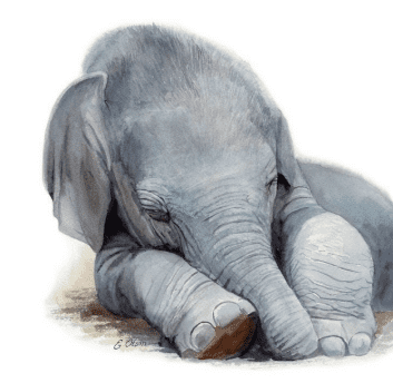 [Ольга Муравьева] Бич Пакет. Сезон II. Слон (2024)