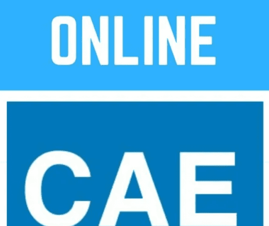 [Paul Newson] CAE – Certificate in Advanced English - C1 (whole course) (2020)