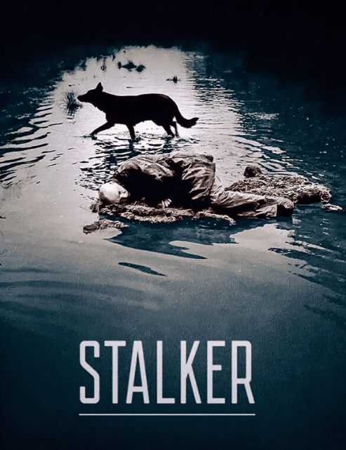 [Всеволод Зеленин] Кинокоучинг Сталкер (1 часть) (2025)
