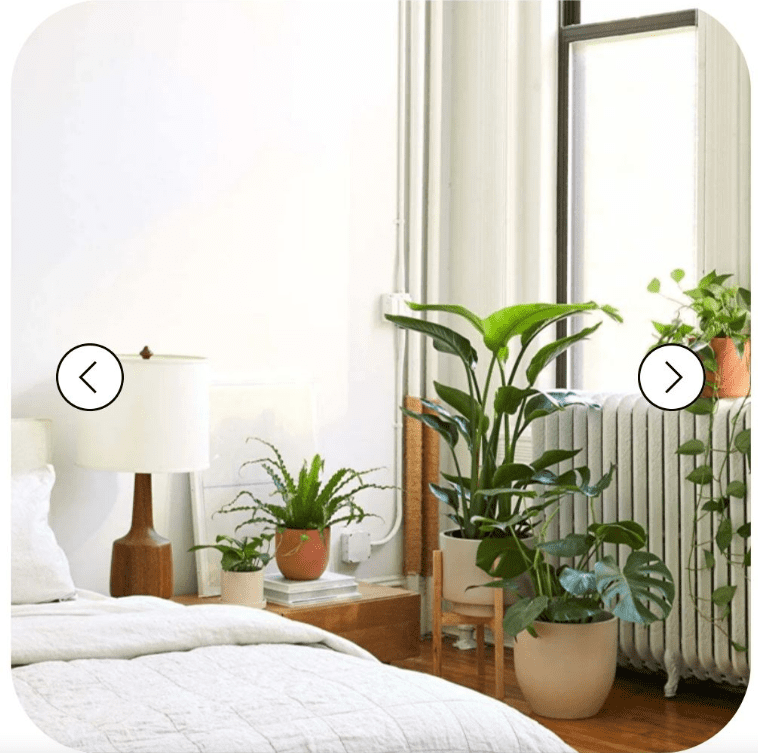 [Uutno] Комнатные растения в интерьере (2023)