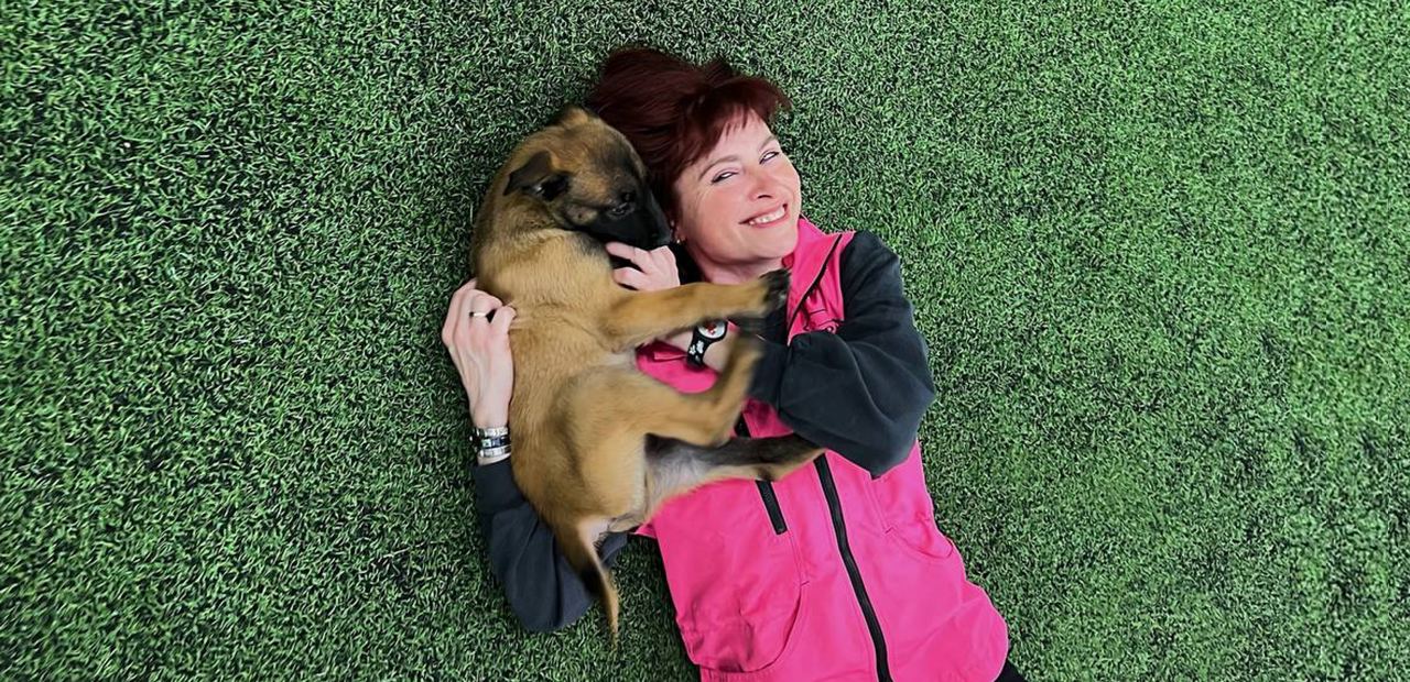 [Наталья Спиридонова] [anfi] Дрессировка с любовью (2024)