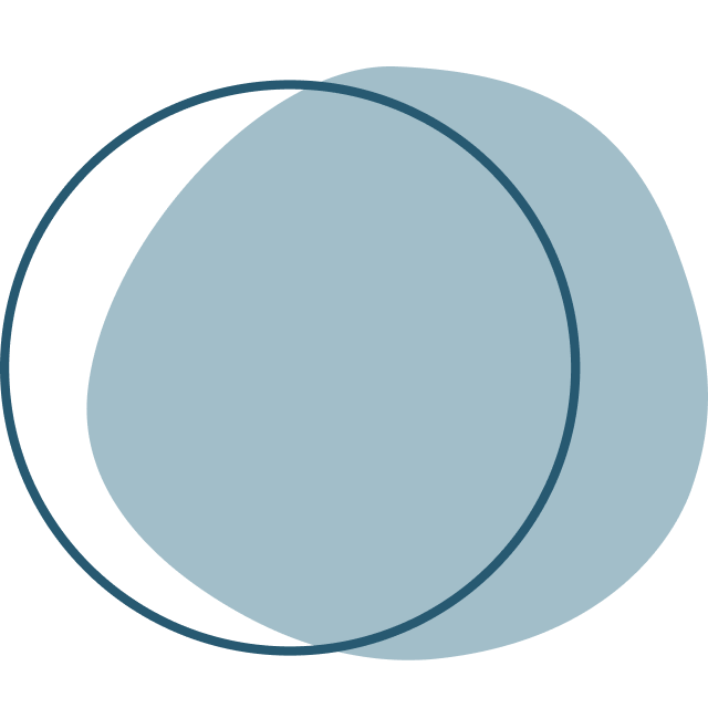 [Елена Лаштабега] Энергия. Внимание. Контроль. 2025. Тариф Базовый (2025)