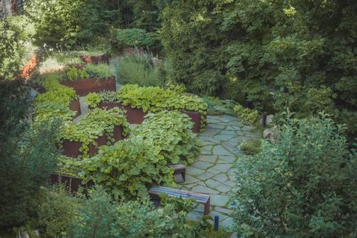 vid-landscape-school.ru