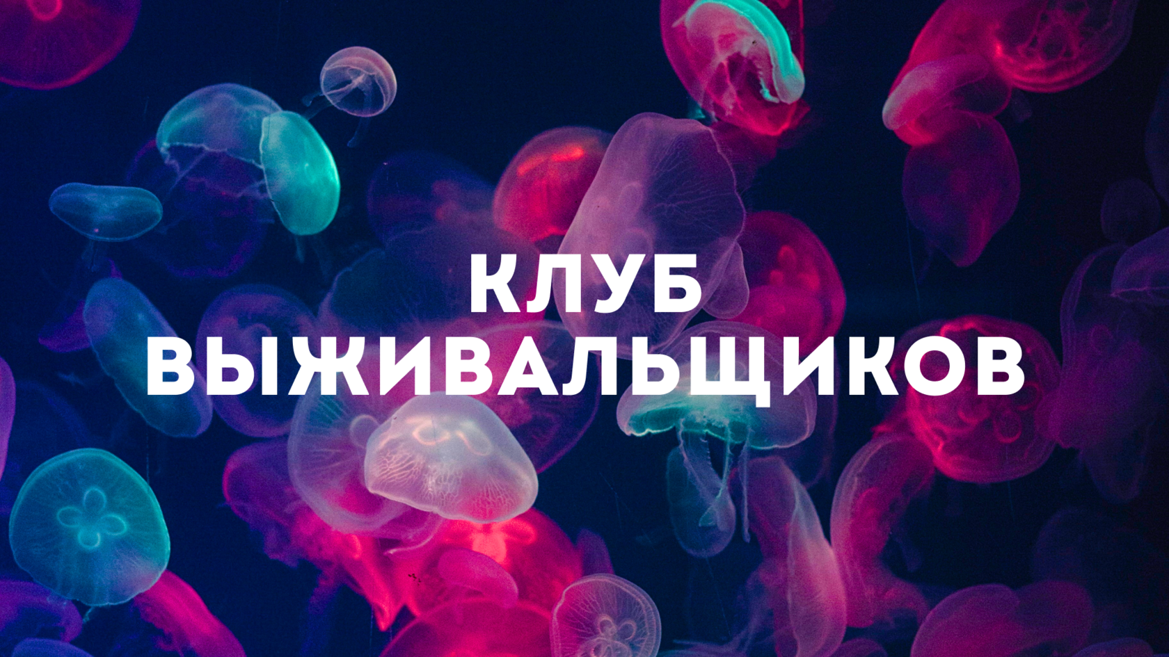 [Дмитрий Богданов] Клуб Богданова (октябрь 2025)